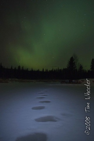 Aurora Borealis at Edgewood Blue