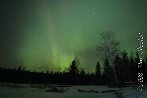 Aurora Borealis at Edgewood Blue